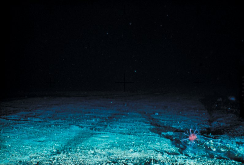 Atlantis: Exposed bedrock of seamount less than 2 km below the surface.